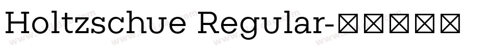 Holtzschue Regular字体转换